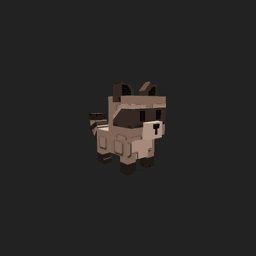 Raccoon