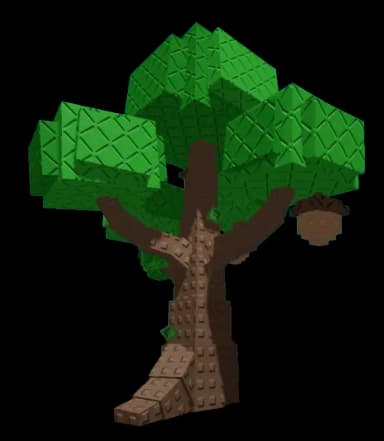 Acorn Plant