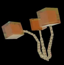 Amber Spine Plant