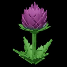 Artichoke Plant