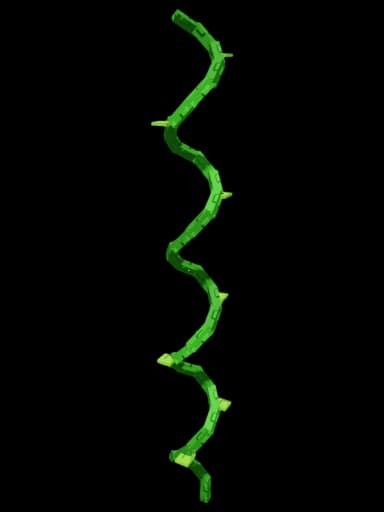 Bendboo Produce