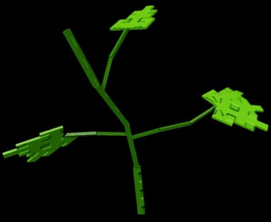 Bitter Melon Plant