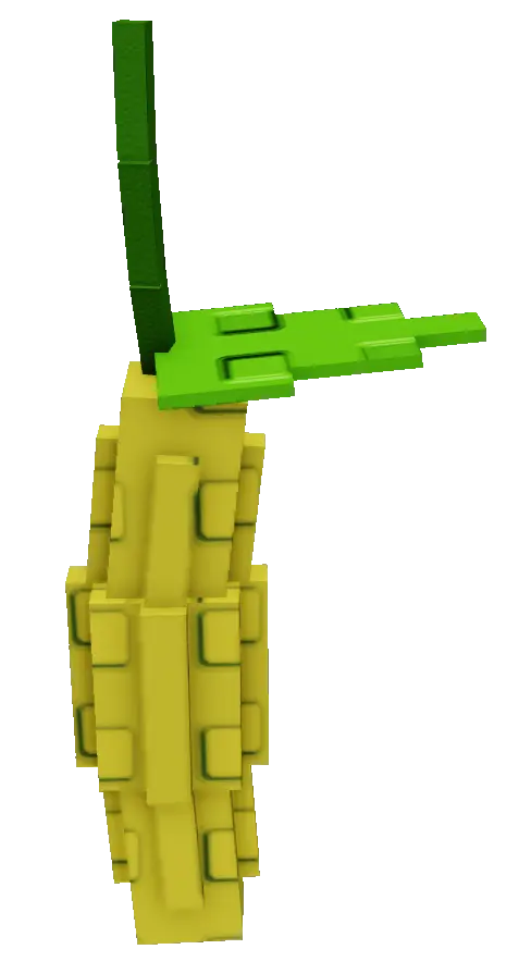 Bitter Melon Produce