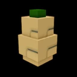 Butternut Squash Seed
