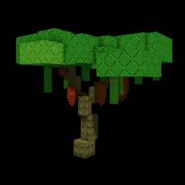 Cacao Plant