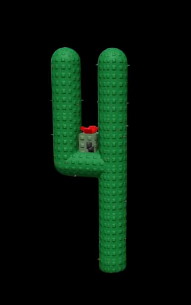 Cactus Plant