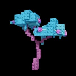 Candy Blossom Plant