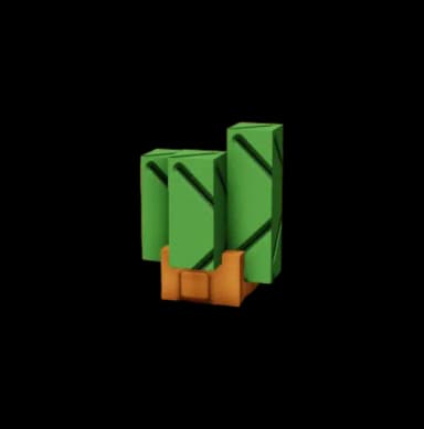 Carrot Plant