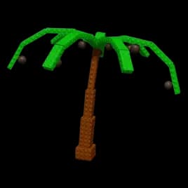 Coconut Plant