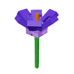 Crocus Plant