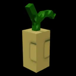 Crown Melon Seed