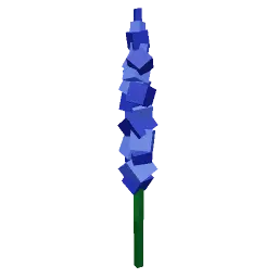 Delphinium Produce