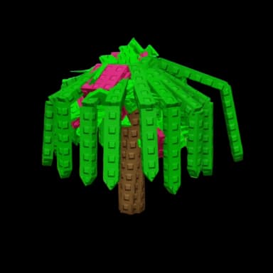 Dragon Fruit Plant