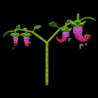 Dragon Pepper Plant