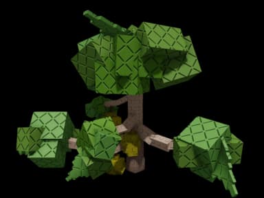Durian Plant