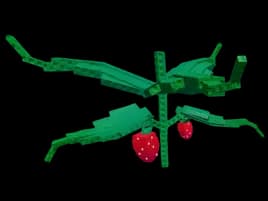 Elder Strawberry Plant