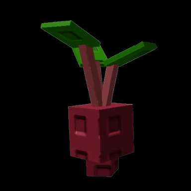 Evo Beetroot I Produce