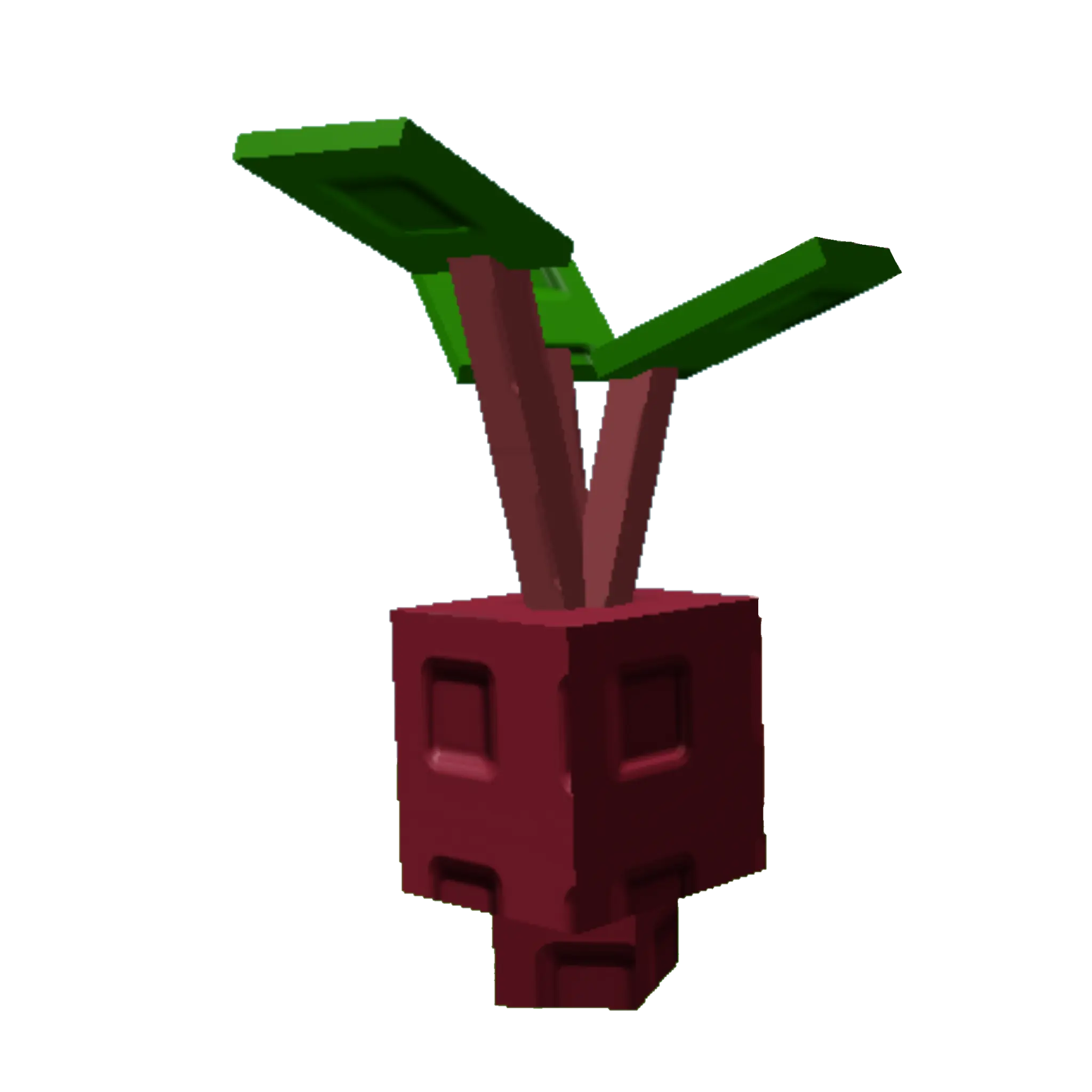 Evo Beetroot I