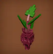 Evo Beetroot III Produce