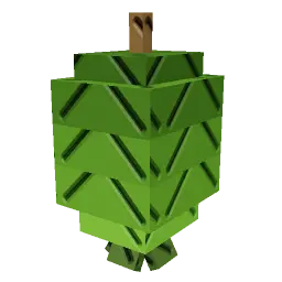Feijoa