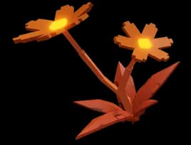 Flare Daisy Plant