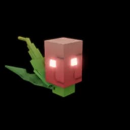 Flare Melon Seed