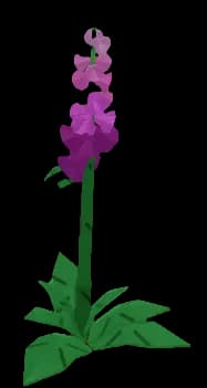 Foxglove Plant