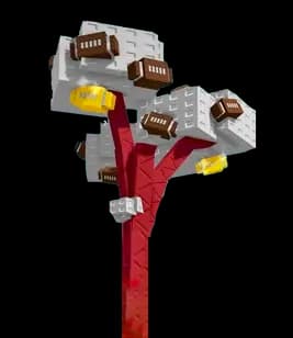 Fruitball Plant