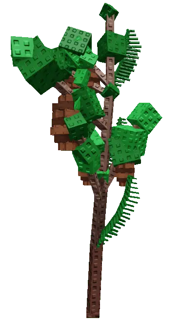 Giant Pinecone Plant
