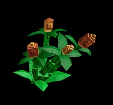 Hazelnut Plant