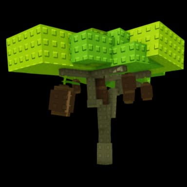 Kiwi (Crop) Plant
