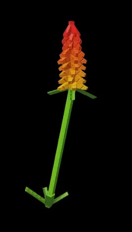 Kniphofia Plant