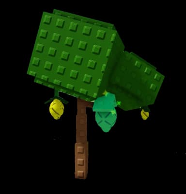 Lemon Plant