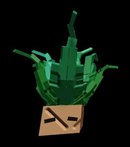 Mandrake (Crop) Plant