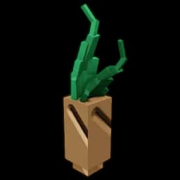 Mandrake (Crop) Seed