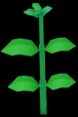 Mint Plant