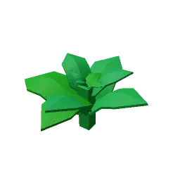 Mint Produce