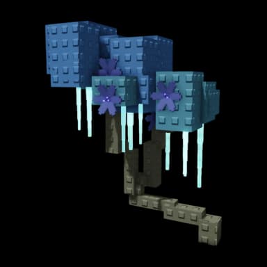 Moon Blossom Plant