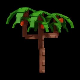 Nectarine Plant