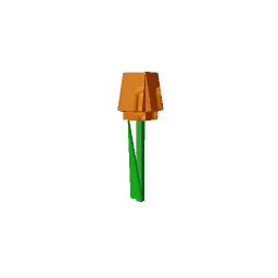 Orange Tulip