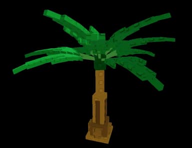 Papaya Plant