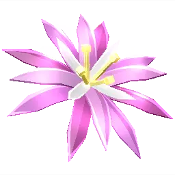 Paradise Petal Produce