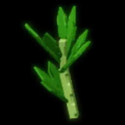 Parsley Produce