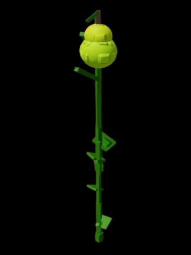 Pear Plant