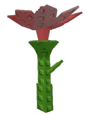 Pink Lily Plant