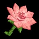 Pink Lily Produce