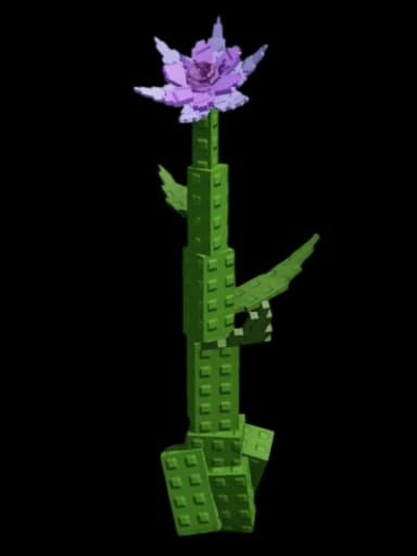 Purple Dahlia Plant