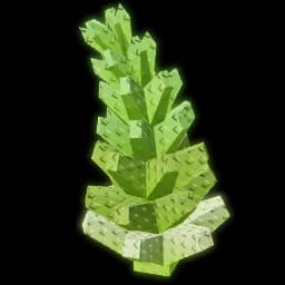 Romanesco Produce