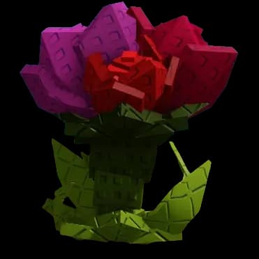 Rosy Delight Plant