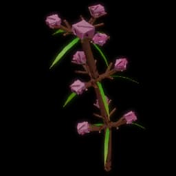 Speargrass Produce